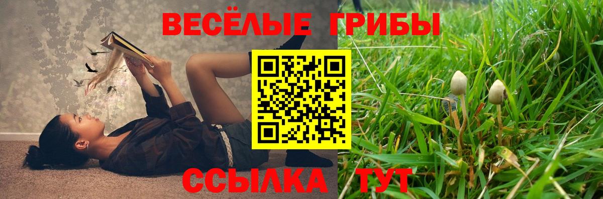 Тобольск  Псилоцибиновые грибы Magic Shrooms  Вход с VPN 